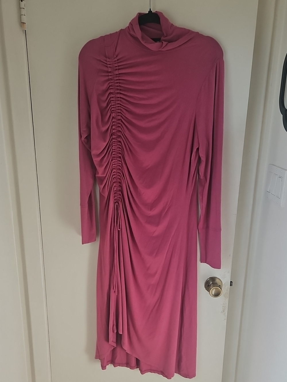 Anthropoly Daily Practice Pink Long-Sleeve Ruched Turtleneck Dress